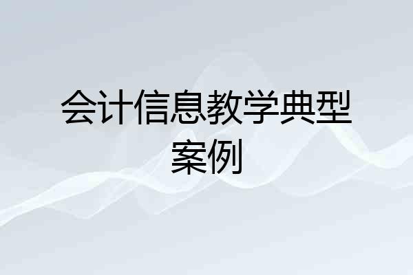 会计信息教学典型案例