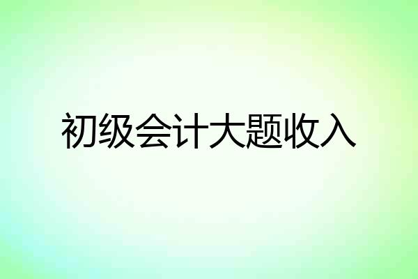 初级会计大题收入