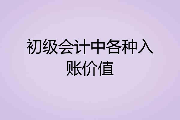 初级会计中各种入账价值