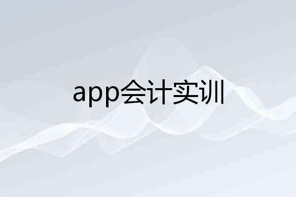 app会计实训