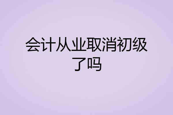 会计从业取消初级了吗