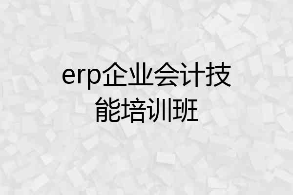 erp企业会计技能培训班