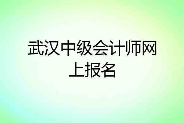 武汉中级会计师网上报名