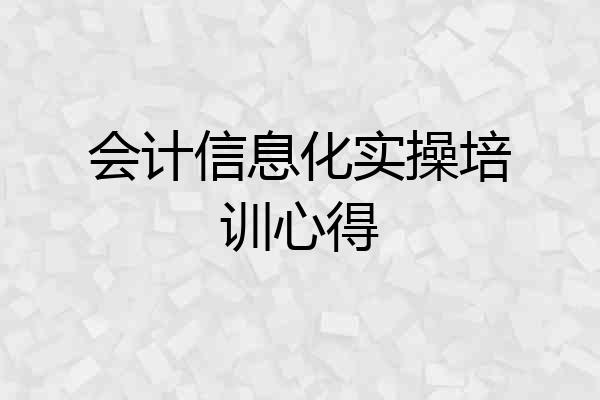 会计信息化实操培训心得