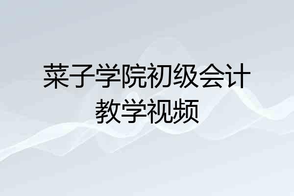 菜子学院初级会计教学视频