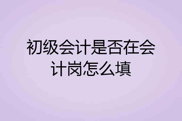 初级会计是否在会计岗怎么填