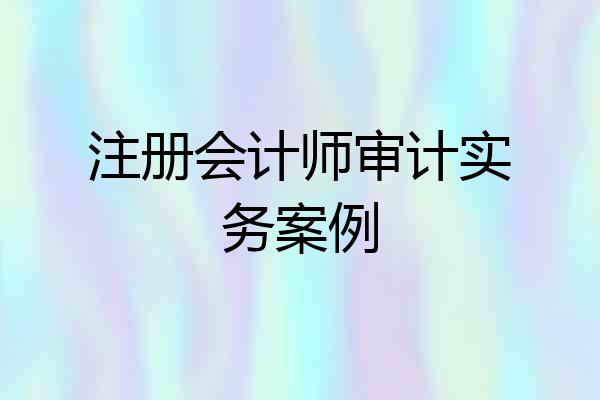 注册会计师审计实务案例