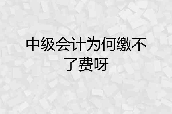 中级会计为何缴不了费呀