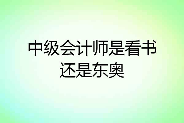 中级会计师是看书还是东奥