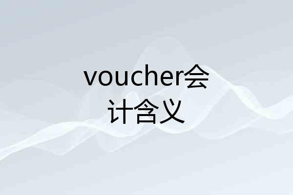 voucher会计含义
