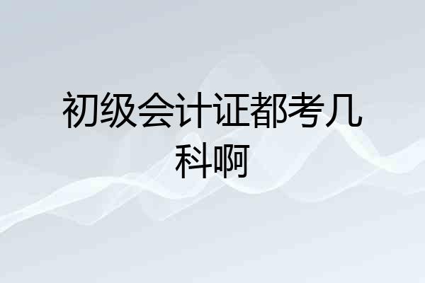 初级会计证都考几科啊