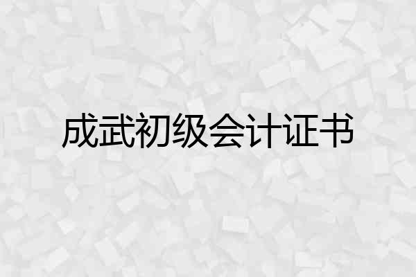成武初级会计证书