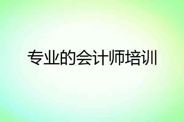专业的会计师培训