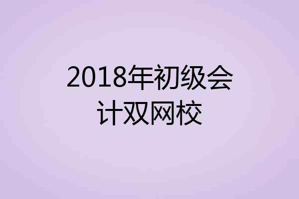 2018年初级会计双网校