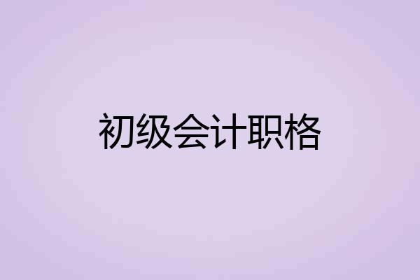初级会计职格