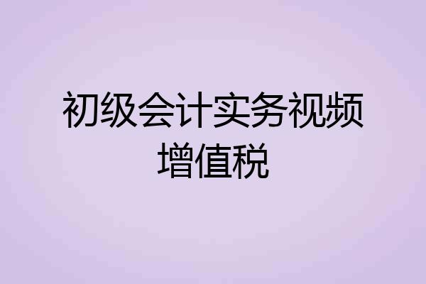 初级会计实务视频增值税