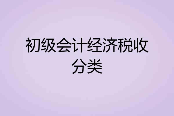 初级会计经济税收分类