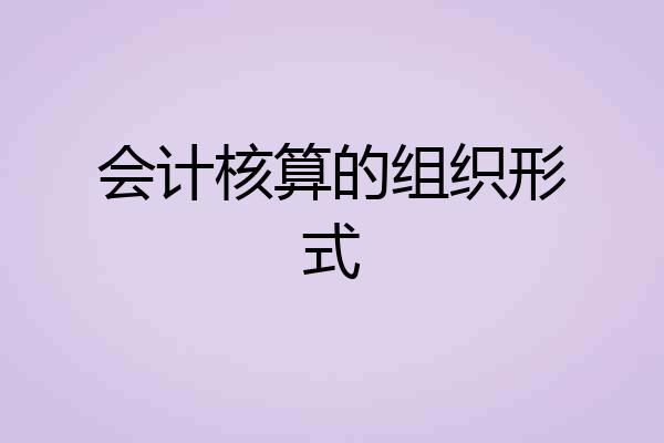 会计核算的组织形式