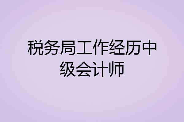 税务局工作经历中级会计师
