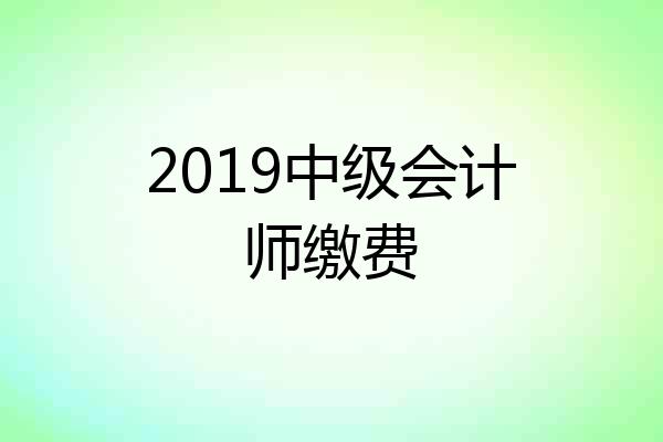 2019中级会计师缴费
