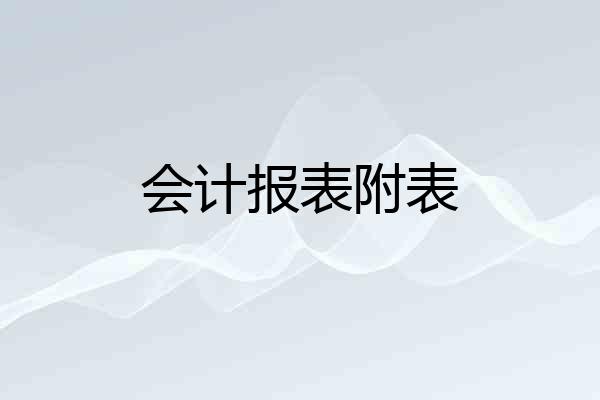 会计报表附表