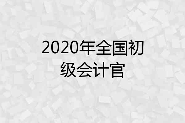 2020年全国初级会计官