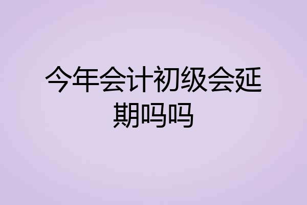今年会计初级会延期吗吗