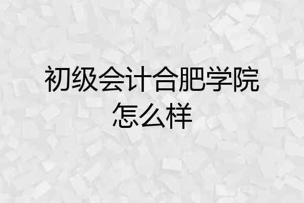 初级会计合肥学院怎么样