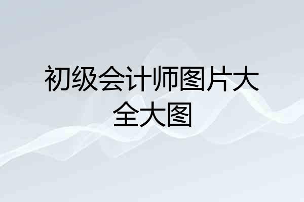 初级会计师图片大全大图