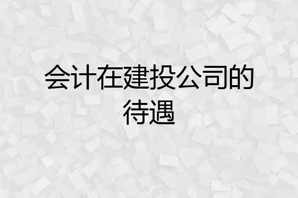 会计在建投公司的待遇