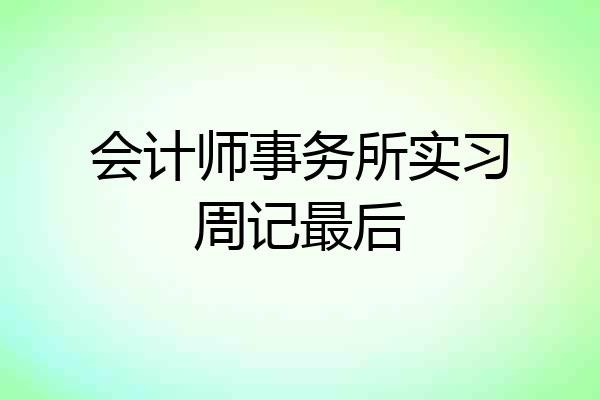 会计师事务所实习周记最后