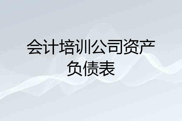 会计培训公司资产负债表