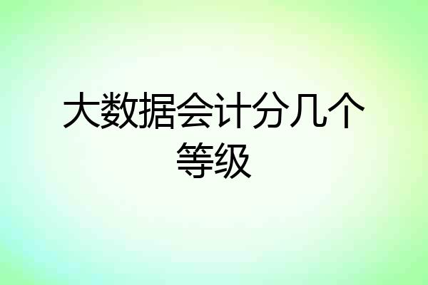 大数据会计分几个等级