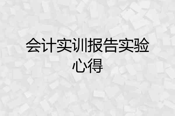 会计实训报告实验心得