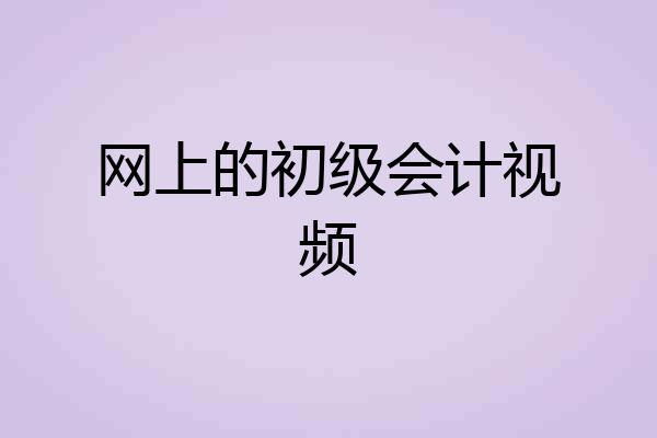 网上的初级会计视频