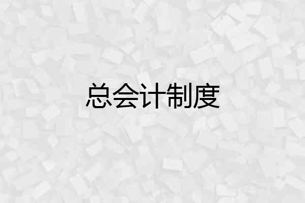 总会计制度