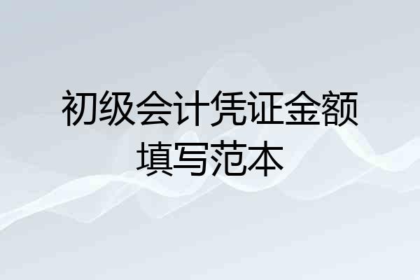 初级会计凭证金额填写范本