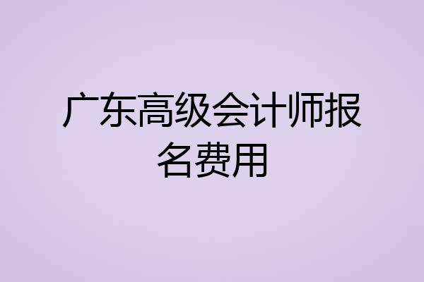广东高级会计师报名费用