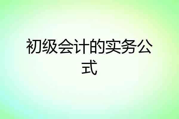 初级会计的实务公式