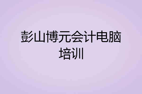 彭山博元会计电脑培训