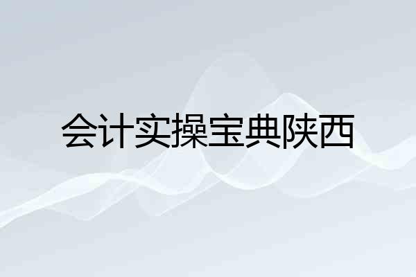 会计实操宝典陕西
