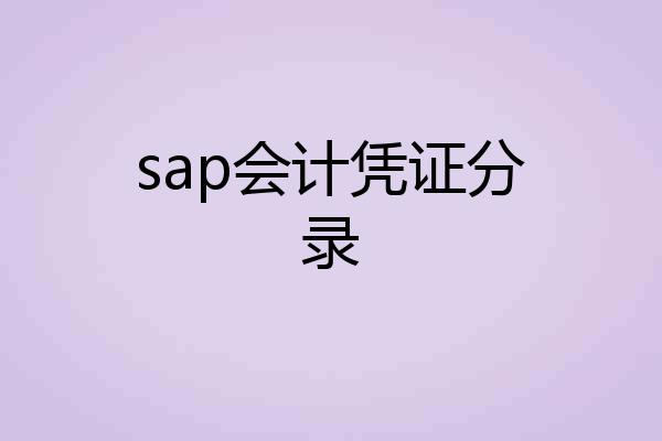 sap会计凭证分录