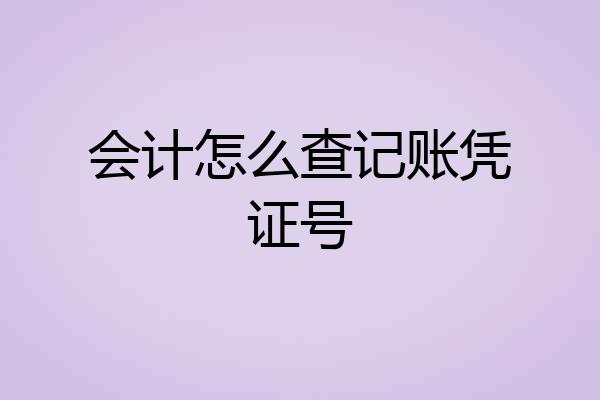 会计怎么查记账凭证号