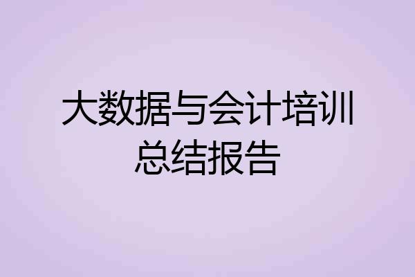 大数据与会计培训总结报告