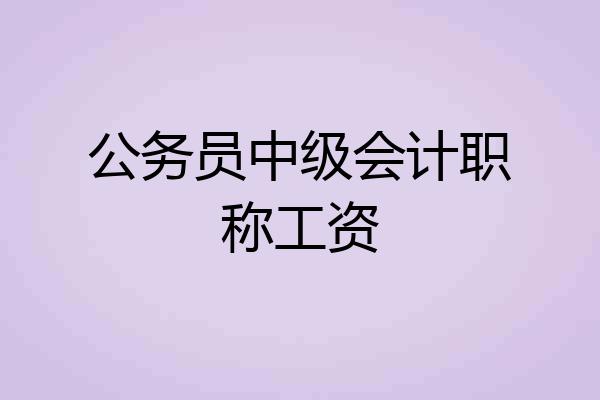 公务员中级会计职称工资
