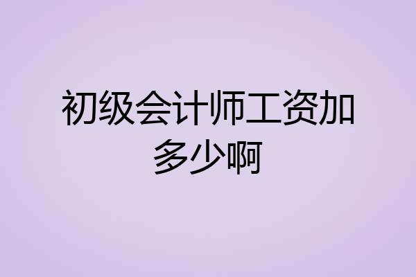 初级会计师工资加多少啊