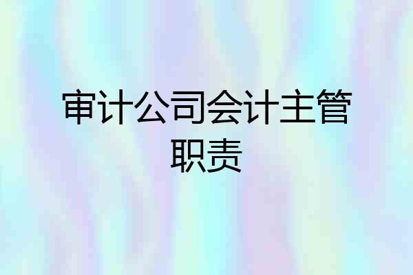 审计公司会计主管职责