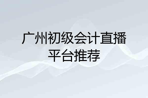 广州初级会计直播平台推荐