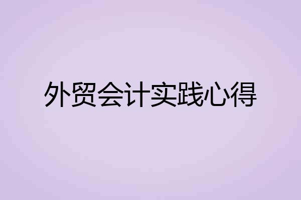 外贸会计实践心得