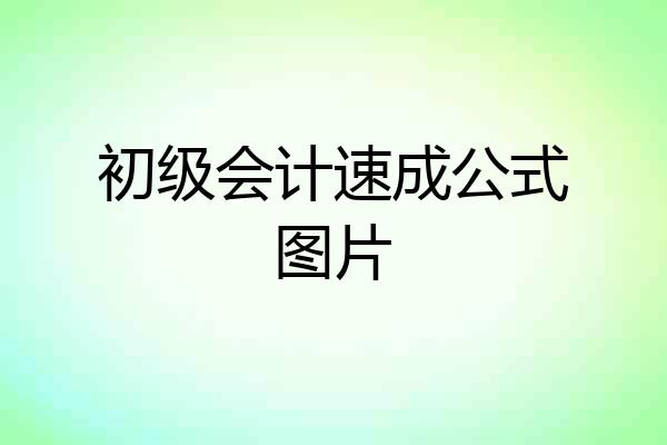 初级会计速成公式图片